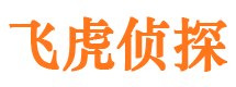 勉县外遇出轨调查取证